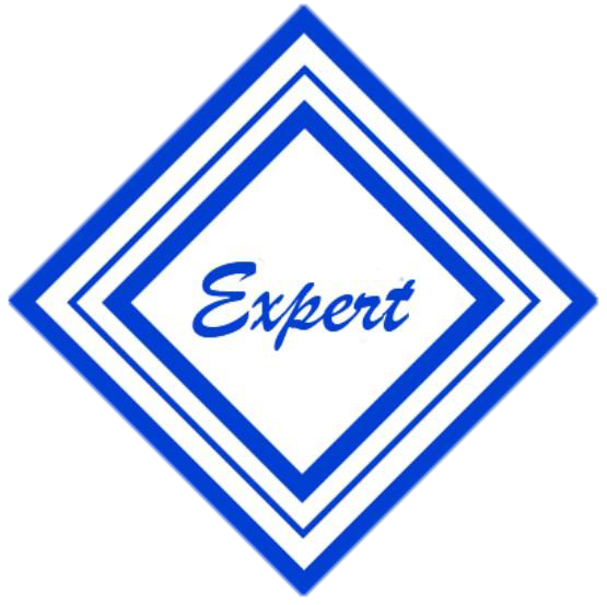 Expert Electronic logo